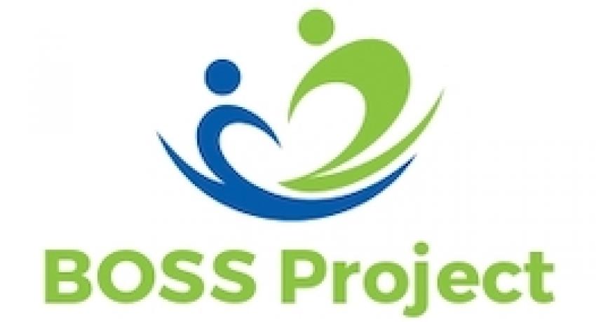 Βoss project logo